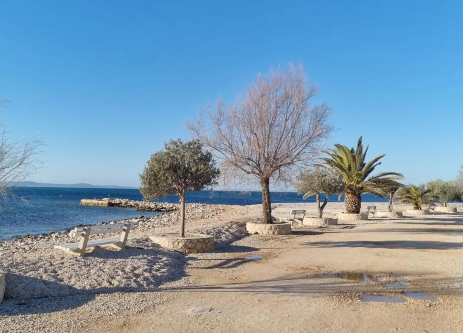 Apartment Apartmani Delminium Vir Croatia