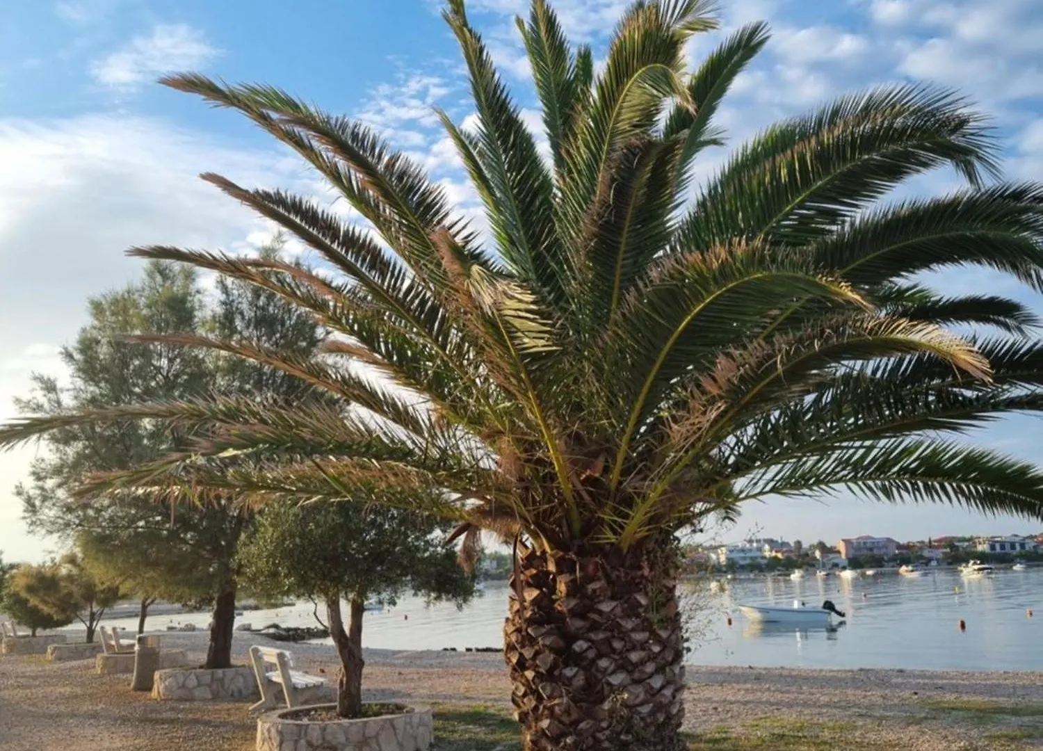 شقة Apartmani Delminium فير