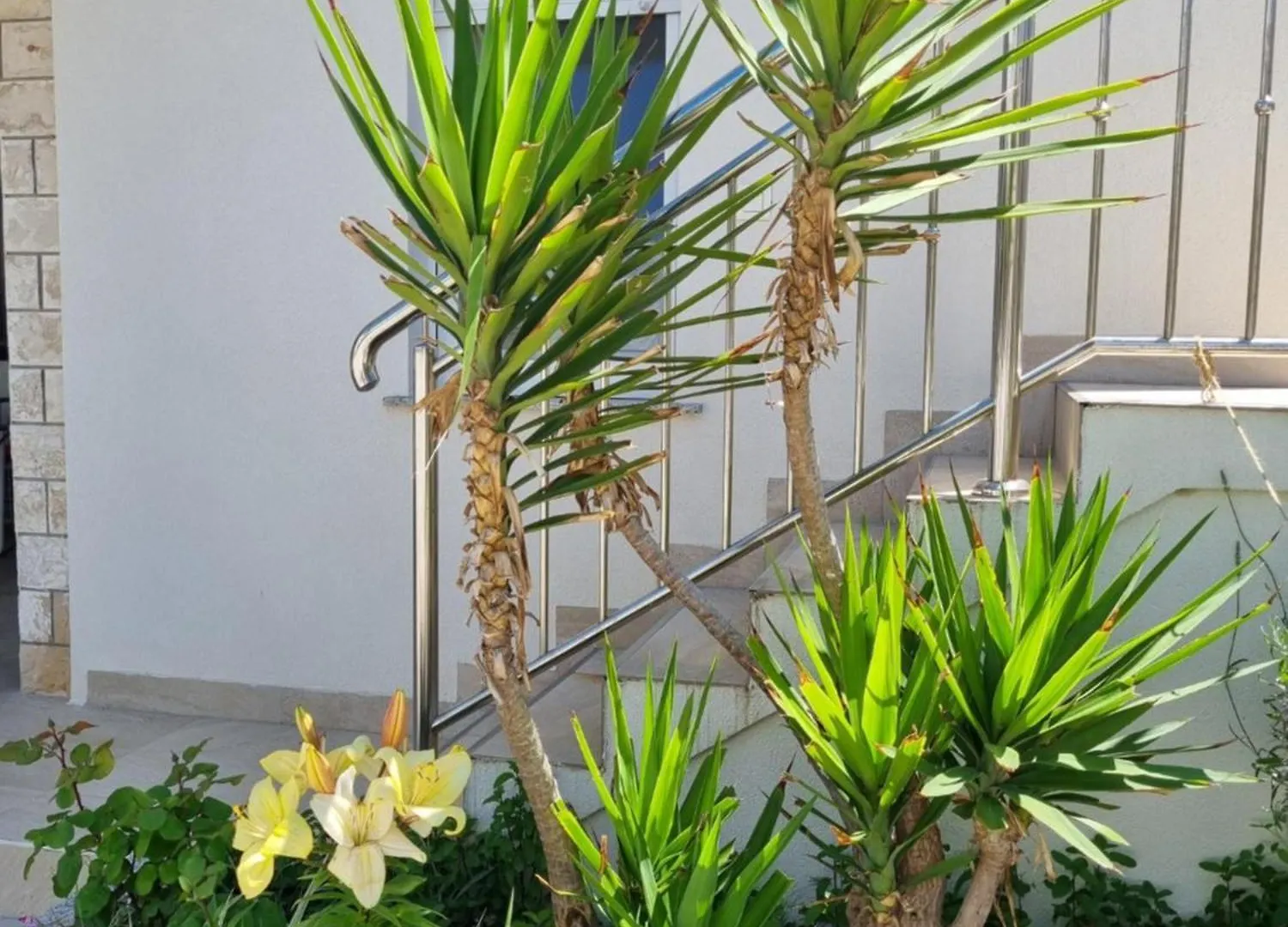 Apartmani Delminium فير شقة