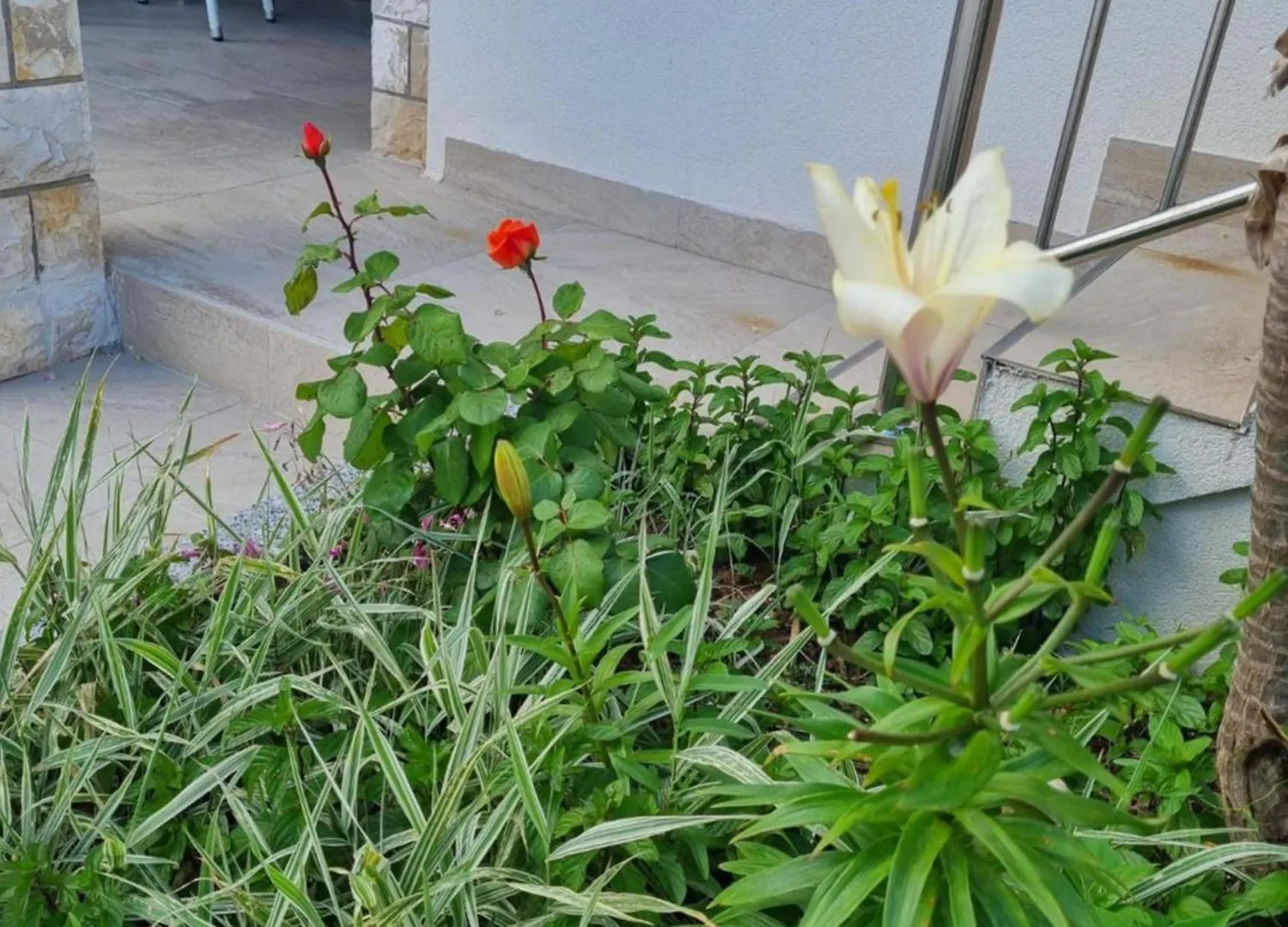 Apartmani Delminium فير كرواتيا
